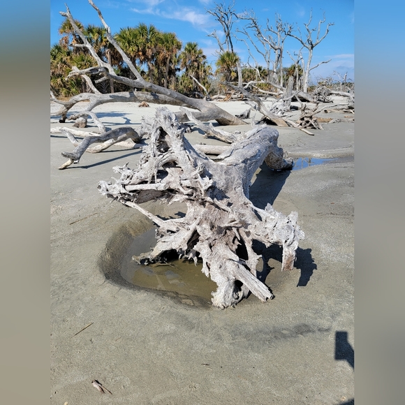 Meet your Posher, Veronica - Picture 1 of 5